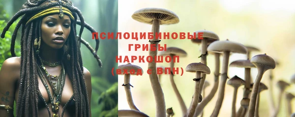 дурь Горнозаводск