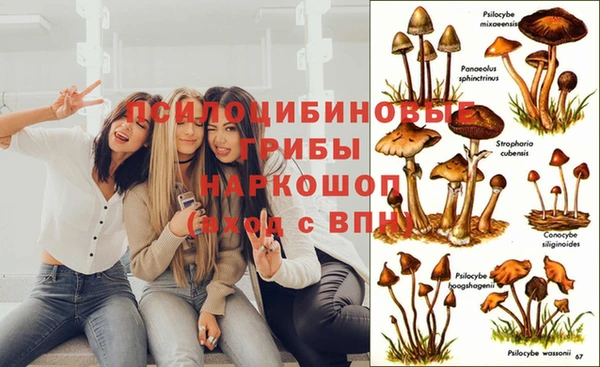 не бодяженный Гусев