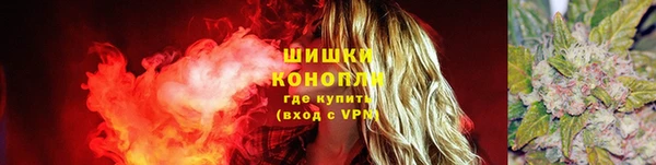 дурь Горнозаводск