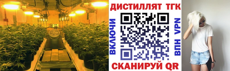 Дистиллят ТГК гашишное масло  Купить где  Шумерля 