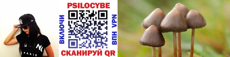 Галлюциногенные грибы Psilocybine cubensis Шумерля