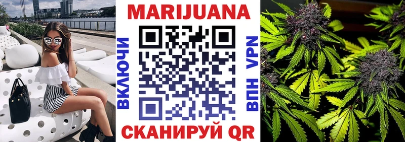 Конопля гибрид  Купить  Шумерля 